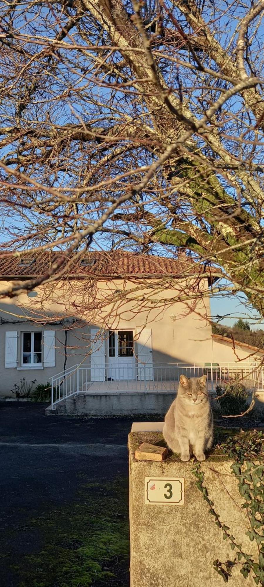 La Mesange Bleue Acomodação com café da manhã Ecuras Exterior foto